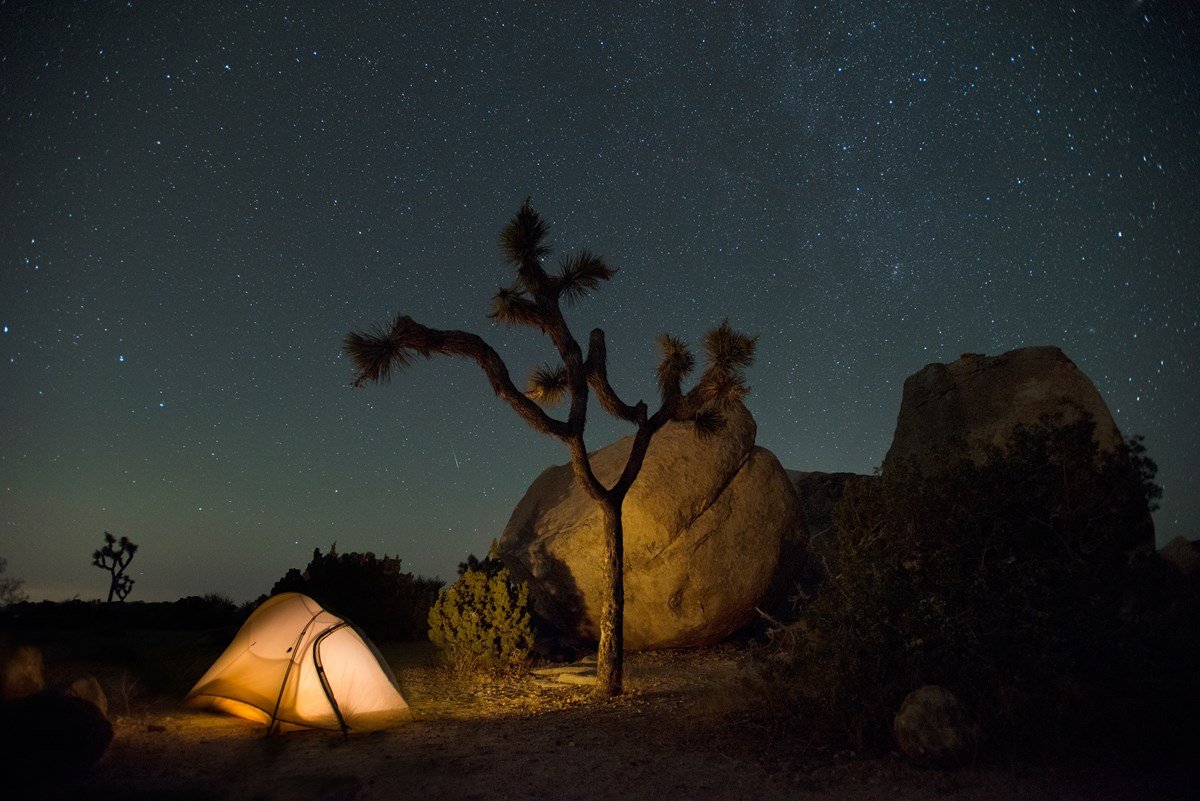 Joshua Tree Campsite